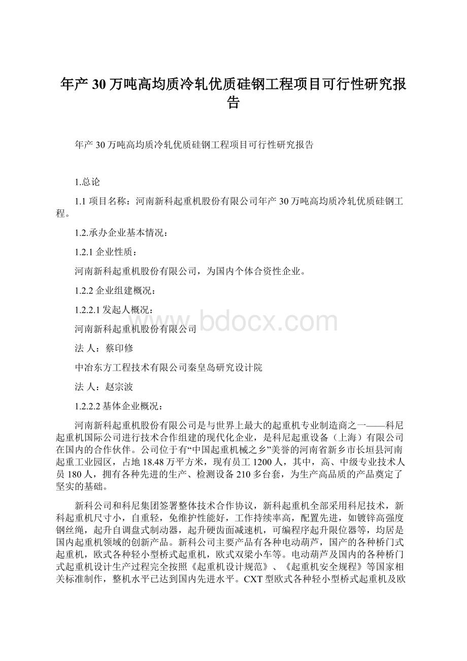 年产30万吨高均质冷轧优质硅钢工程项目可行性研究报告.docx