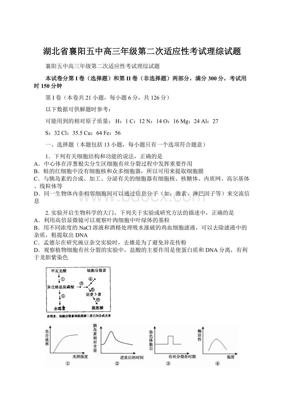 湖北省襄阳五中高三年级第二次适应性考试理综试题Word文件下载.docx