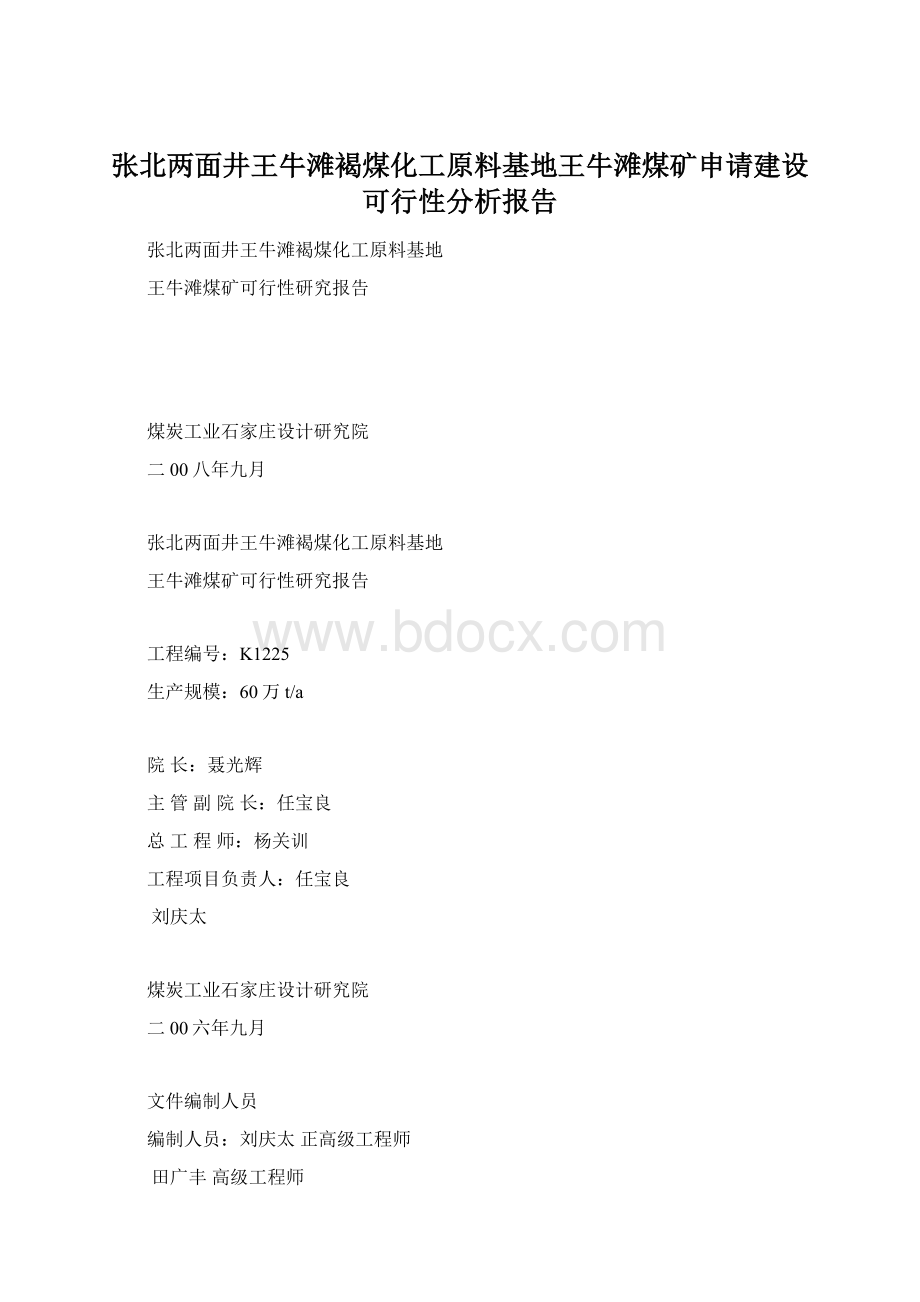 张北两面井王牛滩褐煤化工原料基地王牛滩煤矿申请建设可行性分析报告Word格式.docx