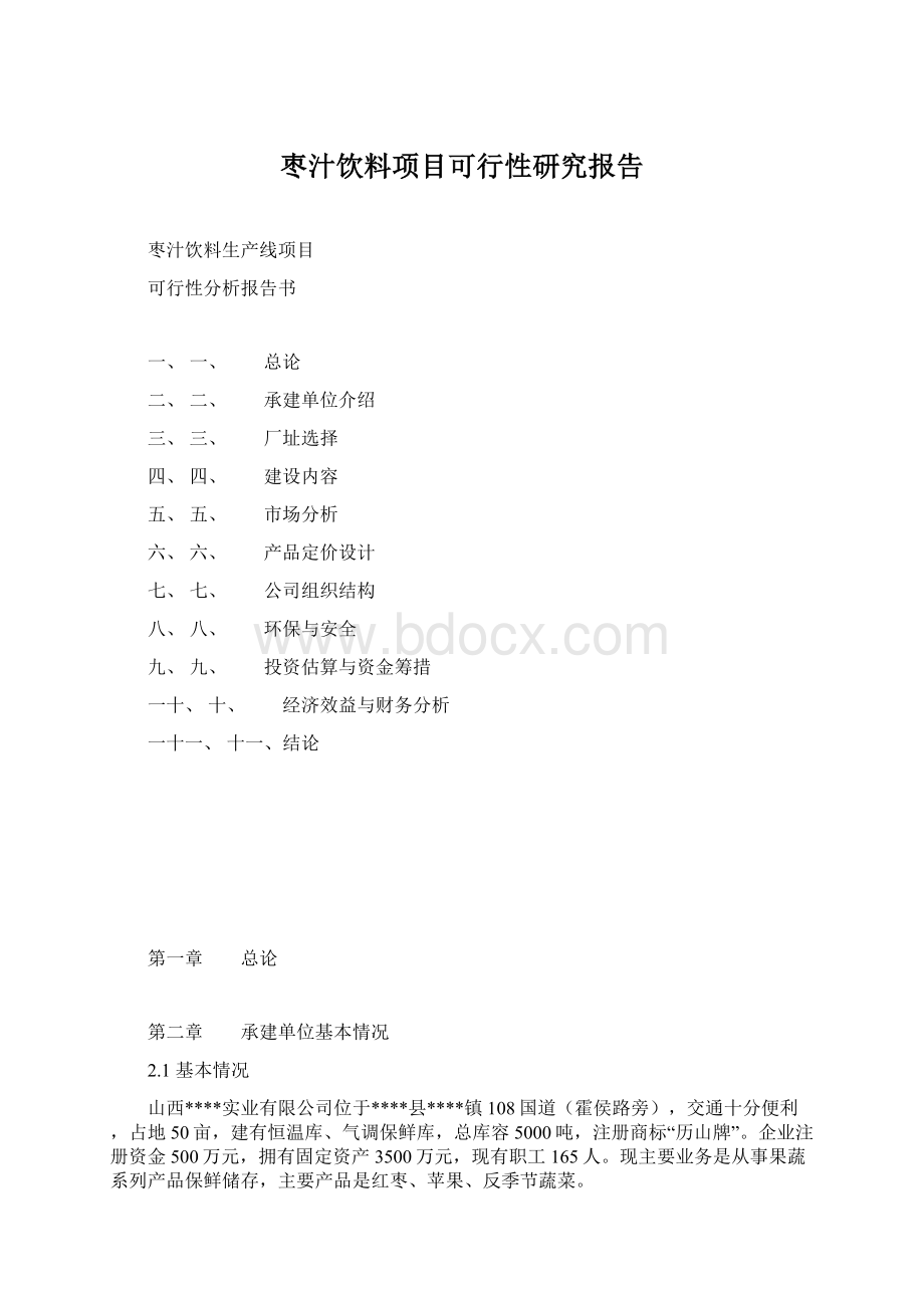 枣汁饮料项目可行性研究报告.docx_第1页