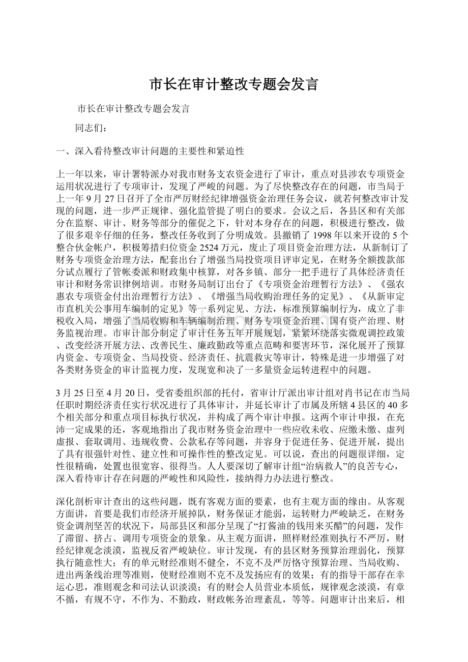 市长在审计整改专题会发言Word下载.docx