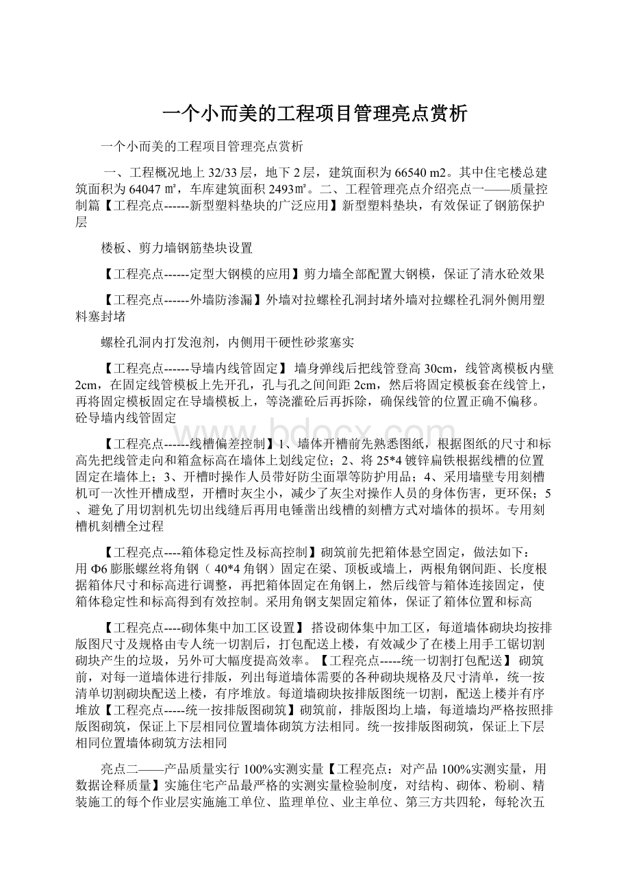 一个小而美的工程项目管理亮点赏析Word下载.docx