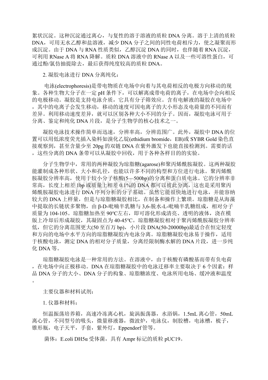 质粒DNA的提取纯化与鉴定分析.docx_第2页