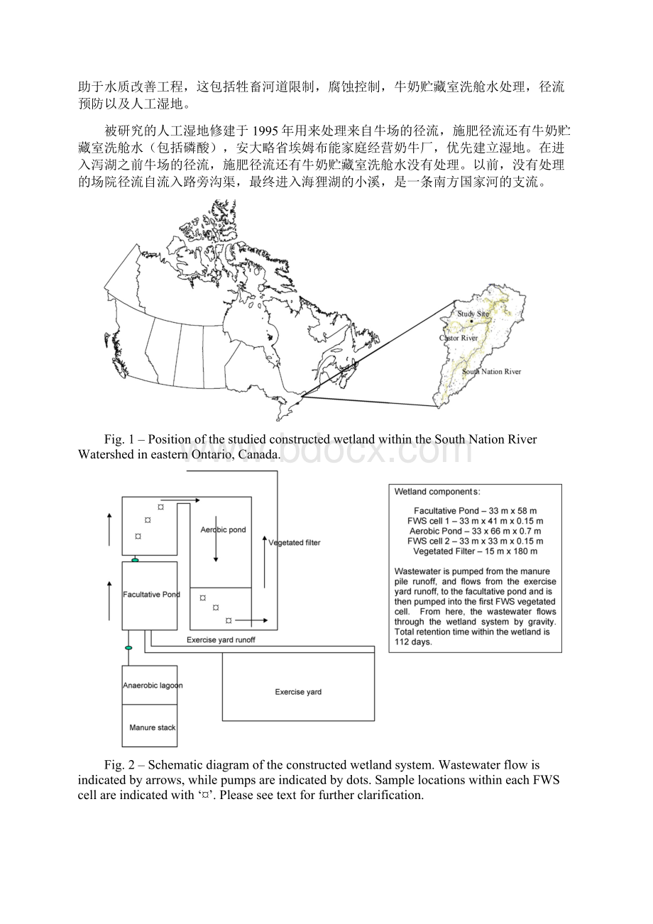 加拿大安大略省人工湿地对农业及奶牛场废水处理中植物的作用.docx_第3页