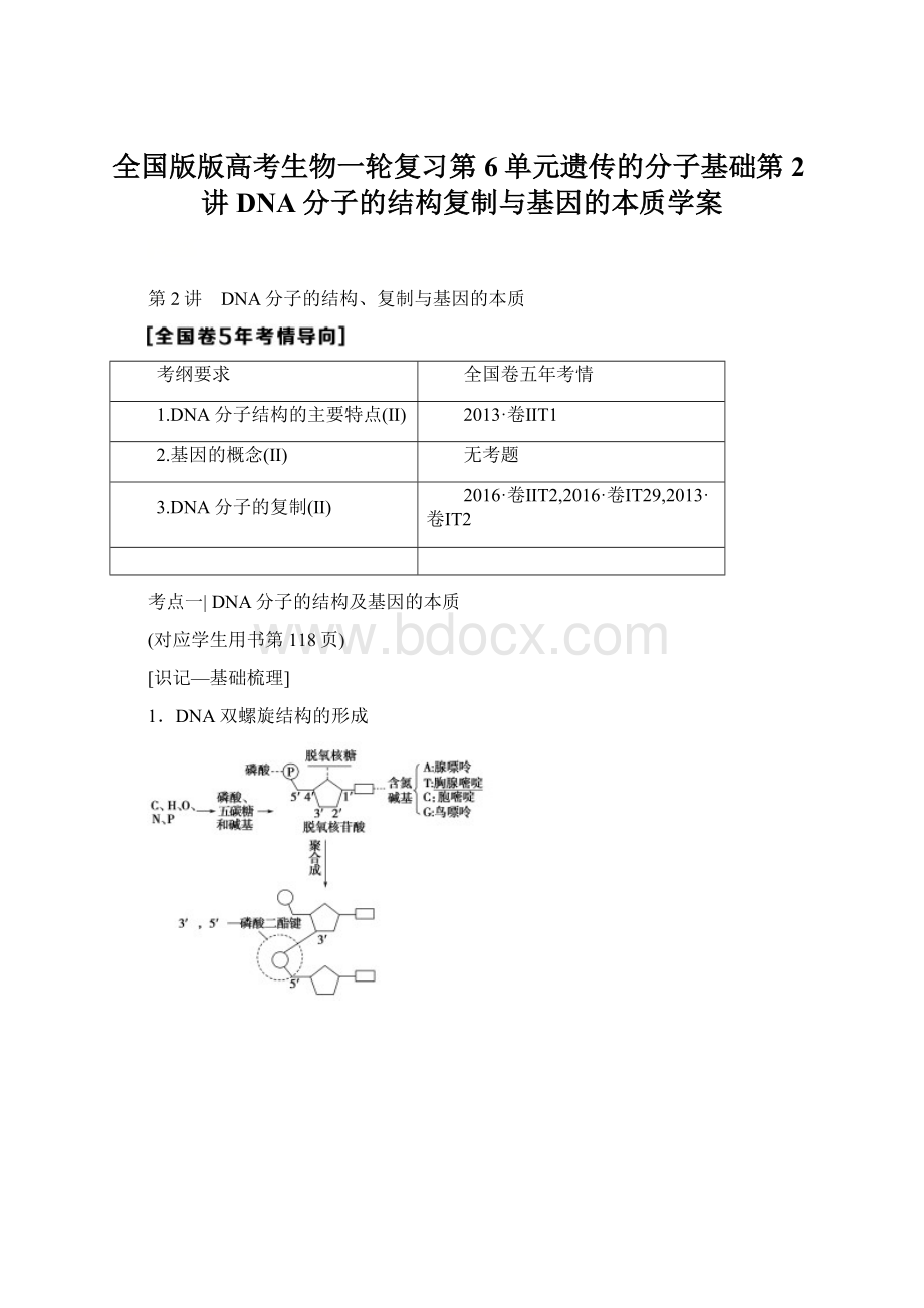 全国版版高考生物一轮复习第6单元遗传的分子基础第2讲DNA分子的结构复制与基因的本质学案.docx