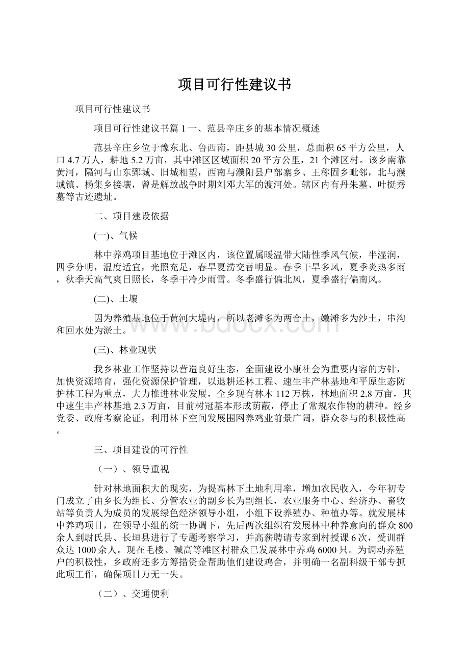 项目可行性建议书文档格式.docx