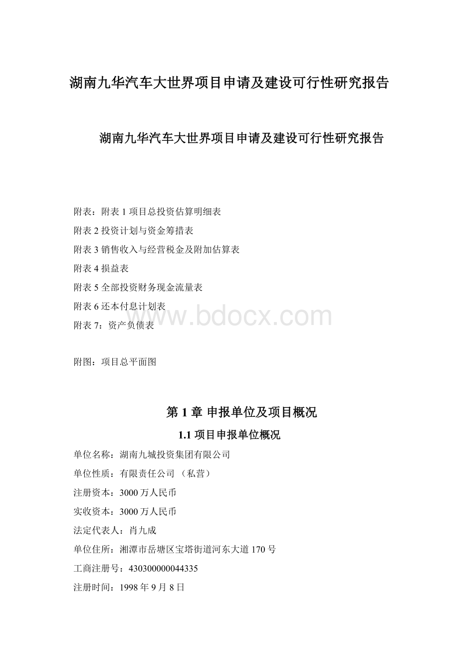 湖南九华汽车大世界项目申请及建设可行性研究报告文档格式.docx_第1页