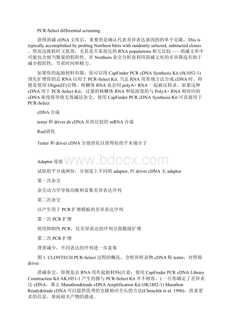 Clontech 抑制性削减杂交PCR中文说明书.docx_第2页