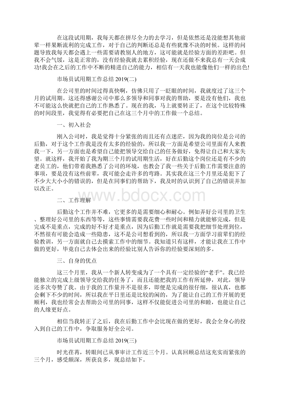 市场员个人试用期工作总结精选.docx_第2页