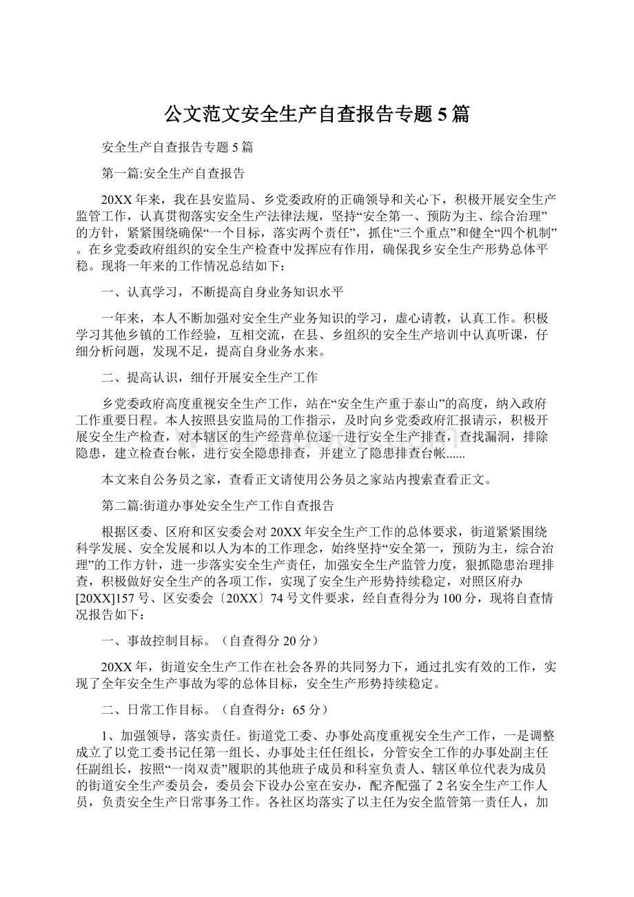 公文范文安全生产自查报告专题5篇文档格式.docx_第1页