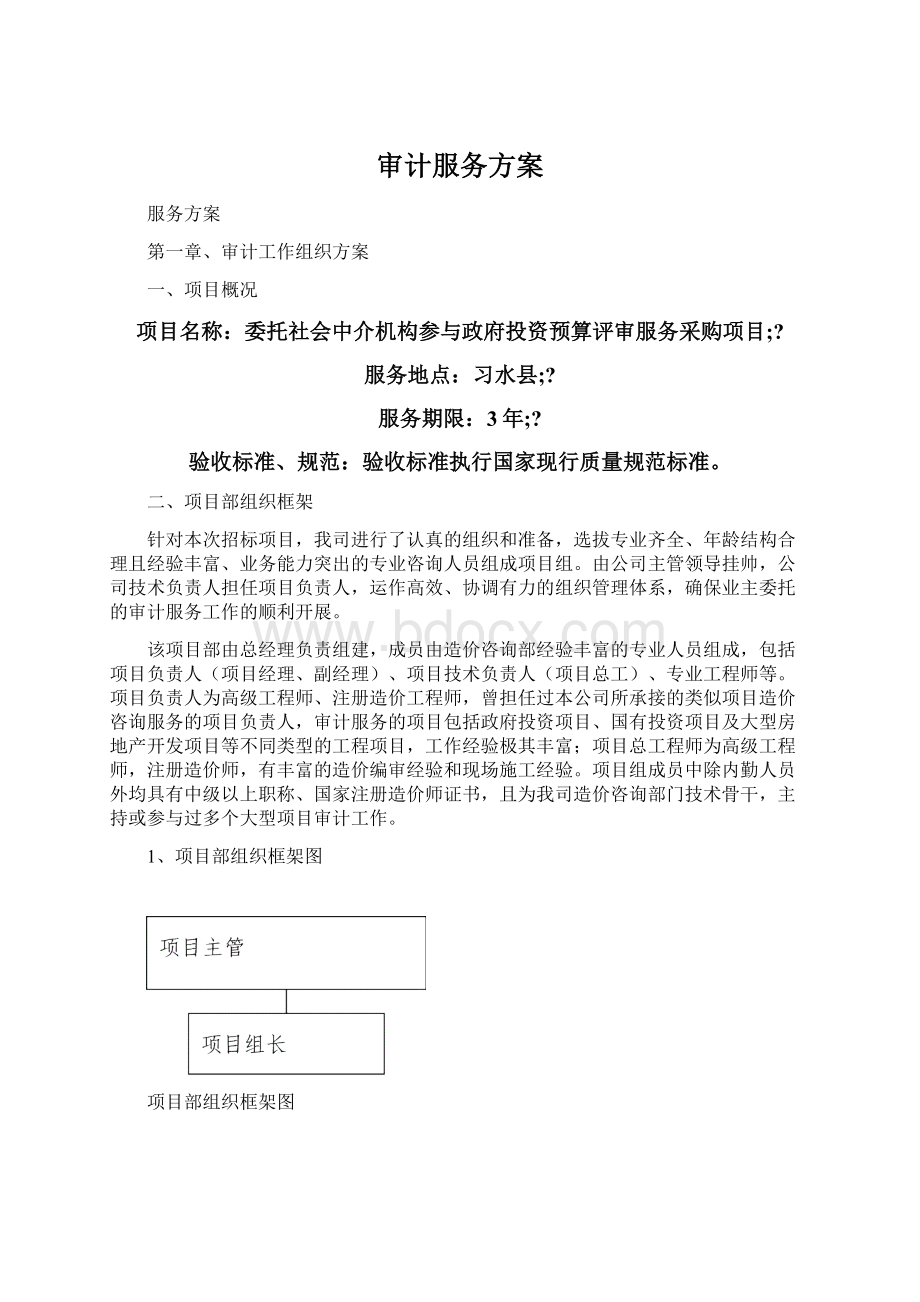 审计服务方案Word文档格式.docx