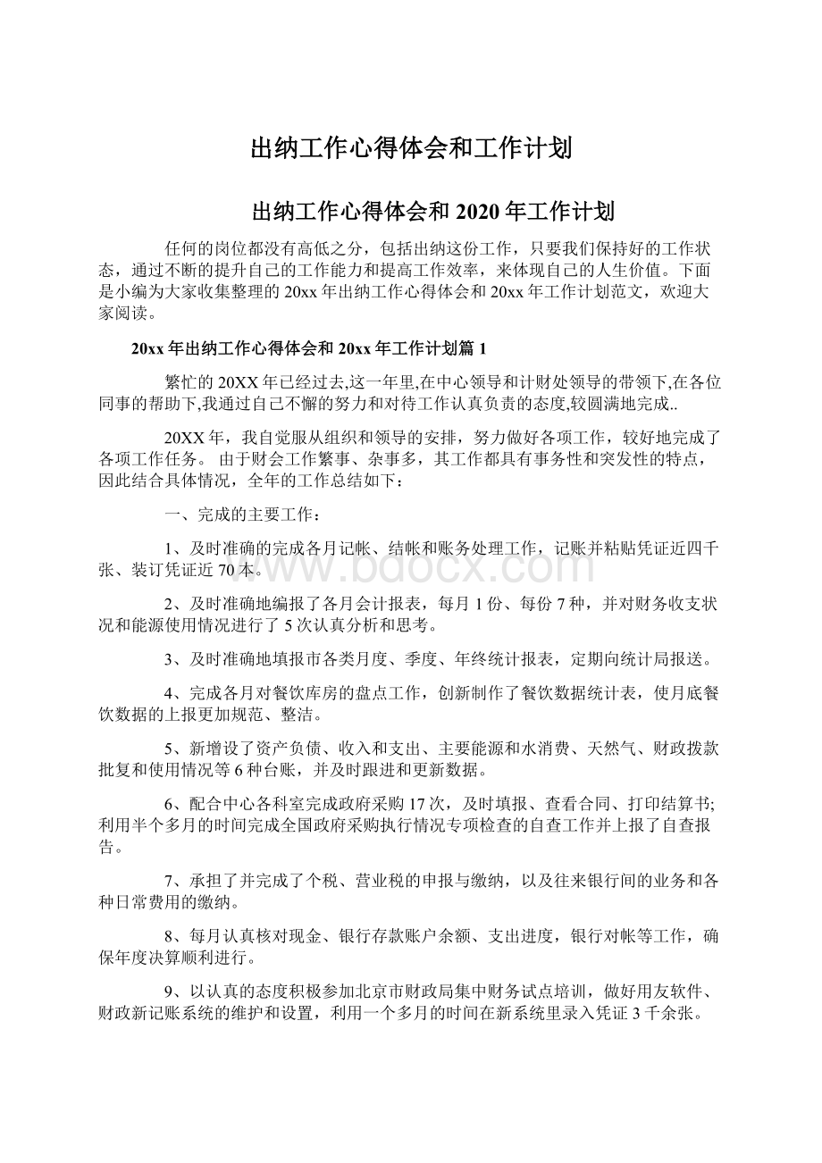 出纳工作心得体会和工作计划.docx_第1页