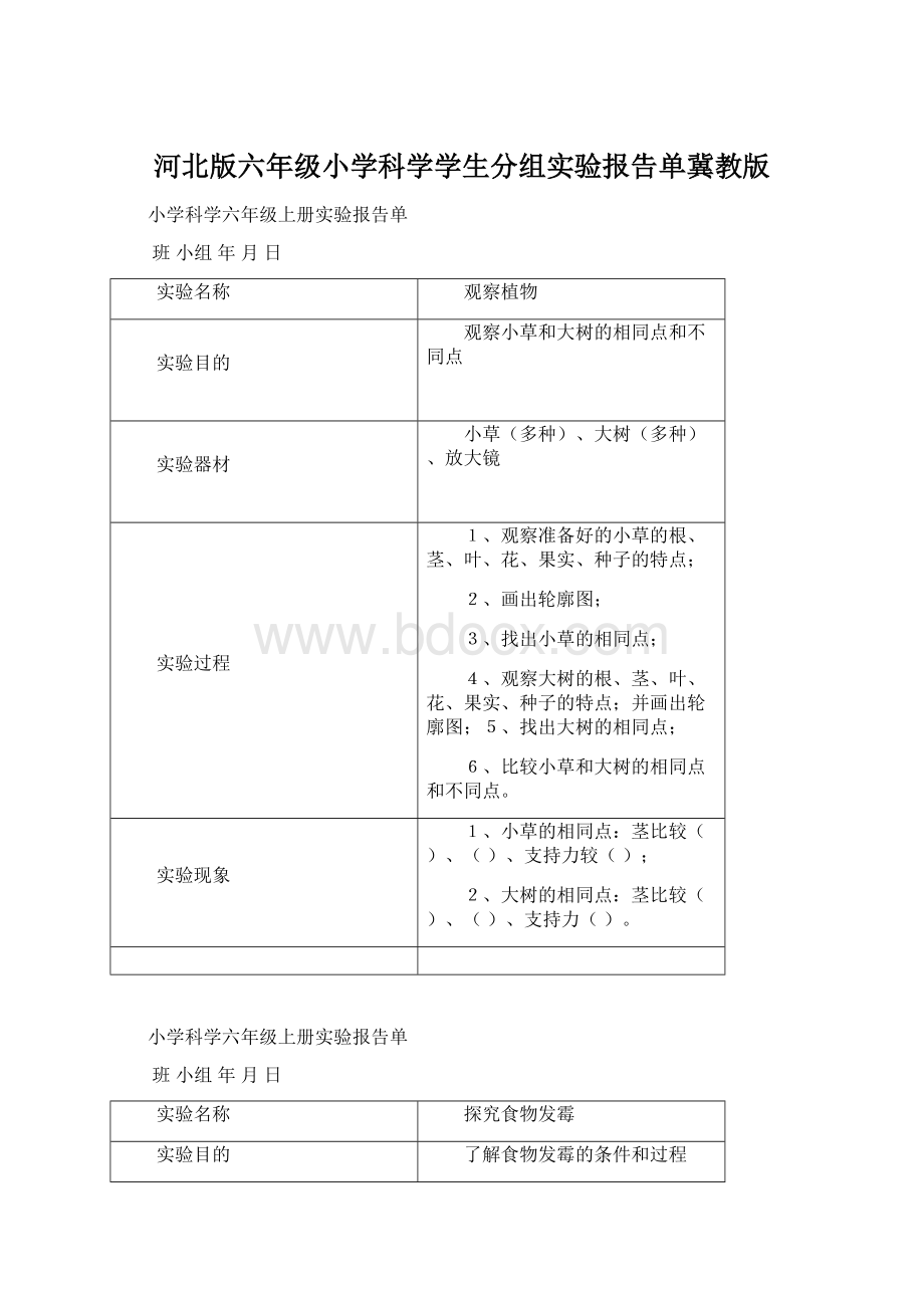 河北版六年级小学科学学生分组实验报告单冀教版Word格式文档下载.docx