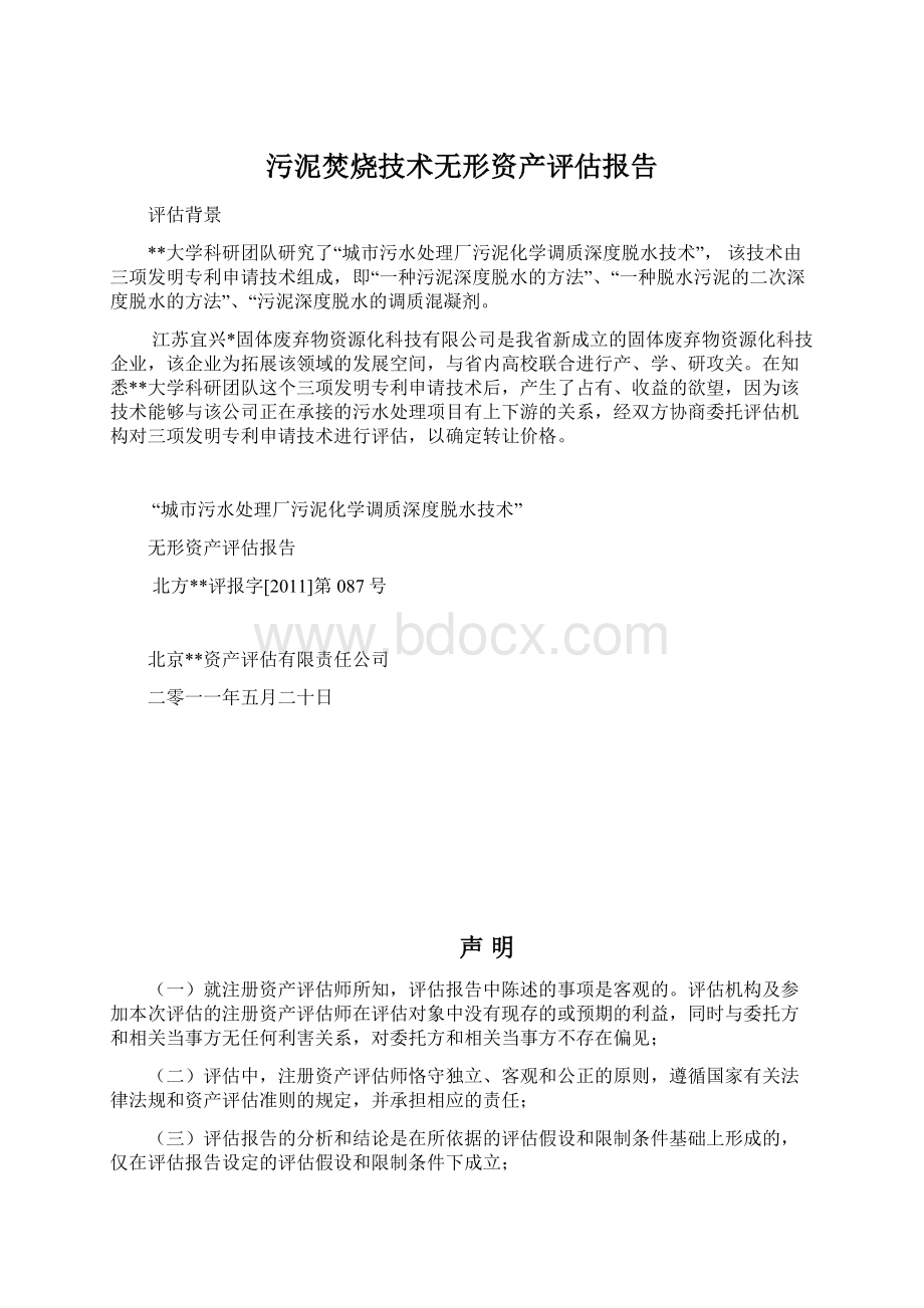 污泥焚烧技术无形资产评估报告.docx_第1页