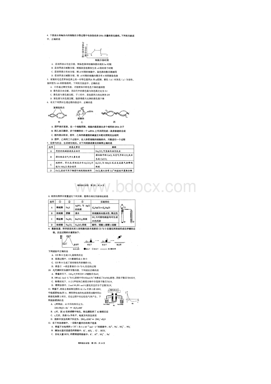 湖北省荆州市届高三上学期质量检查一理科综合试题含答案.docx_第2页