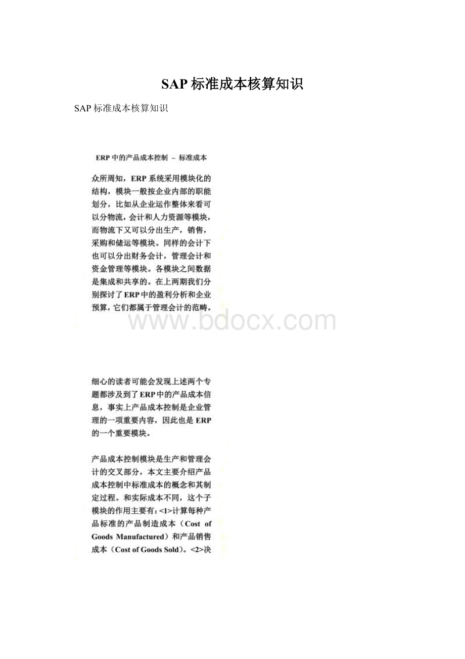 SAP标准成本核算知识.docx