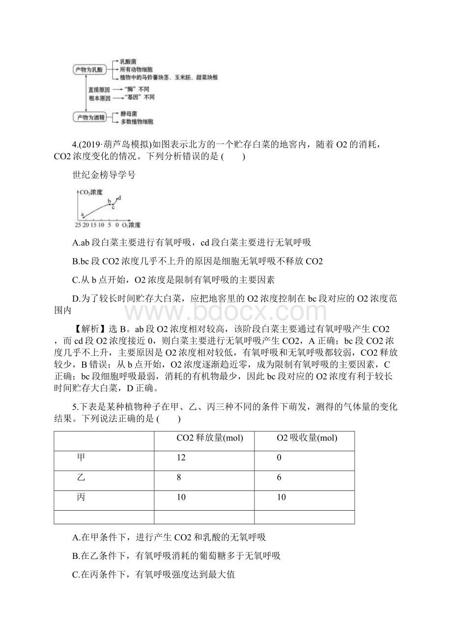 高考一轮复习人教版 ATP的主要来源细胞呼吸 作业doc.docx_第3页