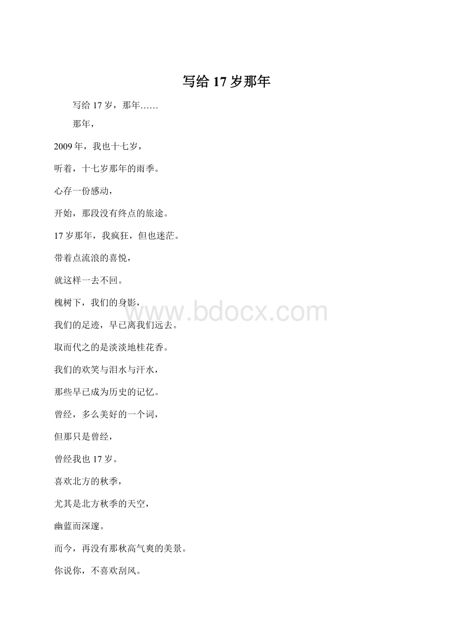 写给17岁那年Word格式文档下载.docx