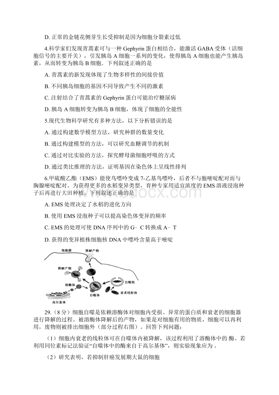 广东省七校联合体届高三第三次联考理科综合生物试题含答案Word格式.docx_第2页