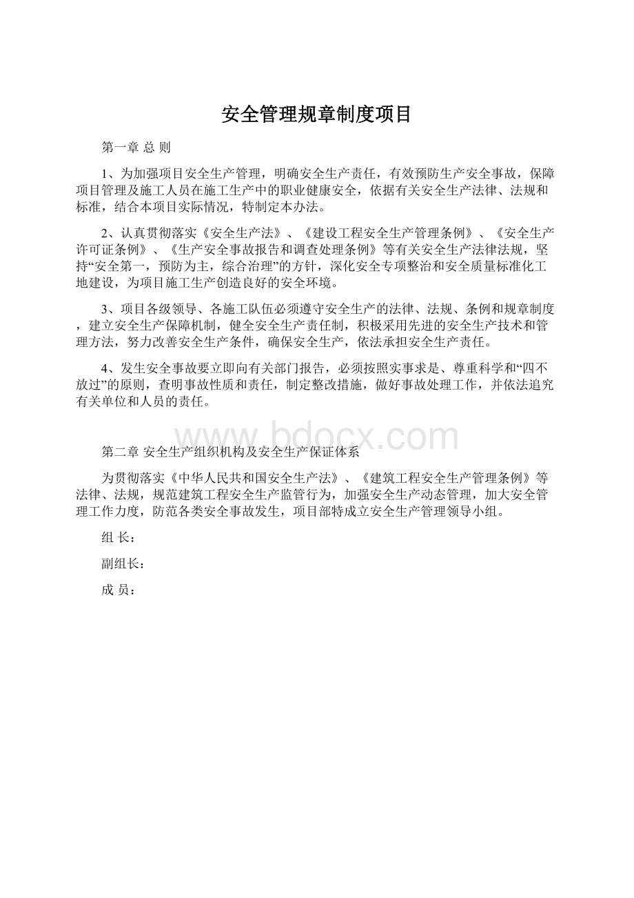 安全管理规章制度项目.docx_第1页