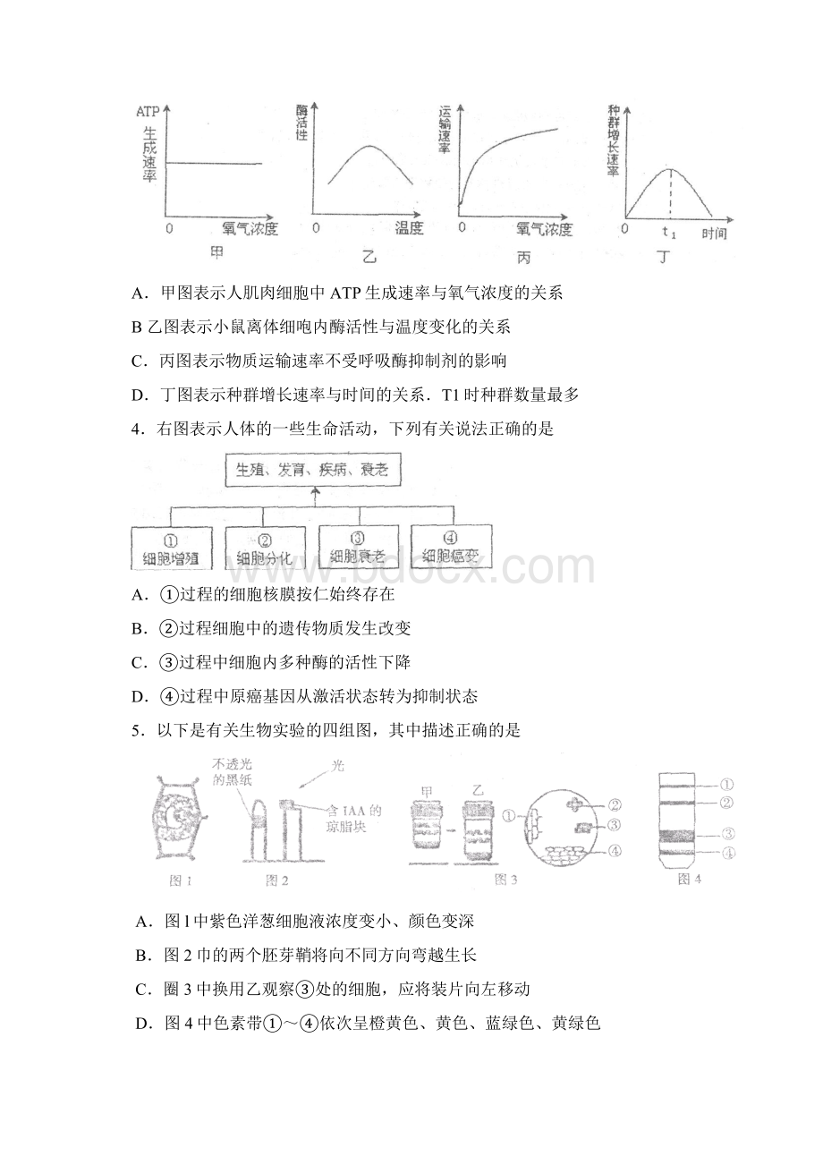 南京届高三第一次模拟考试生物试题及答案文档格式.docx_第2页