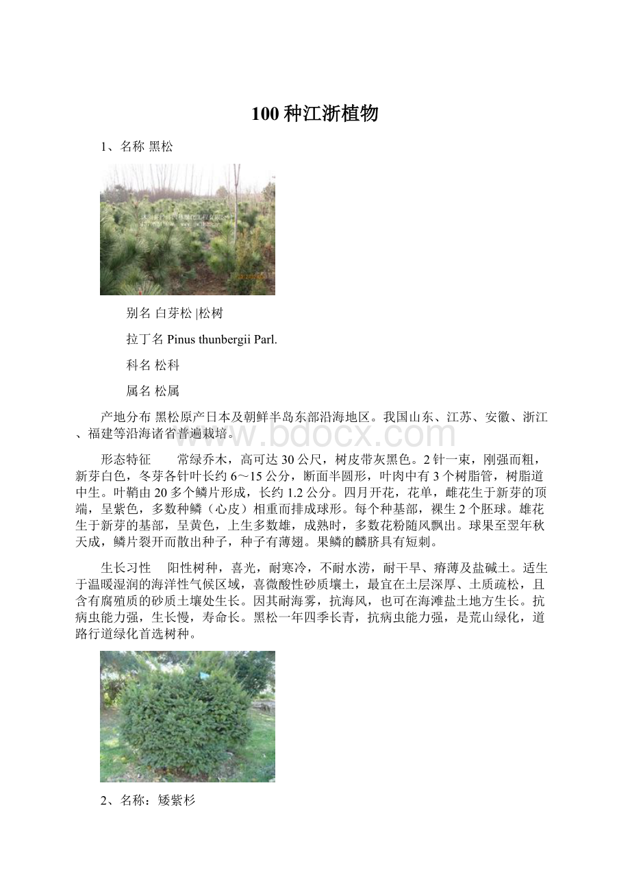 100种江浙植物Word格式文档下载.docx