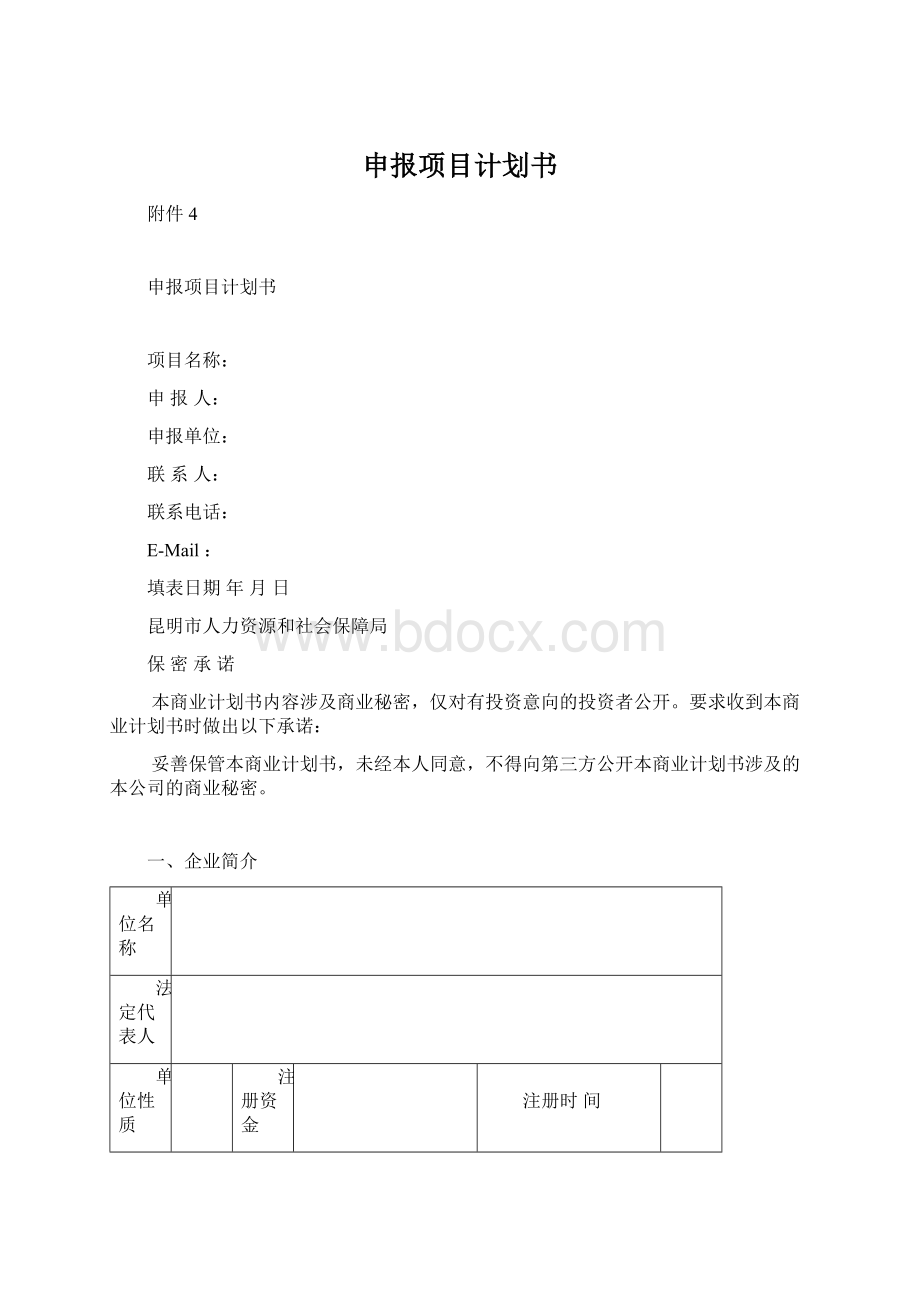 申报项目计划书.docx_第1页