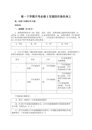 高一下学期月考必修2 至基因在染色体上.docx