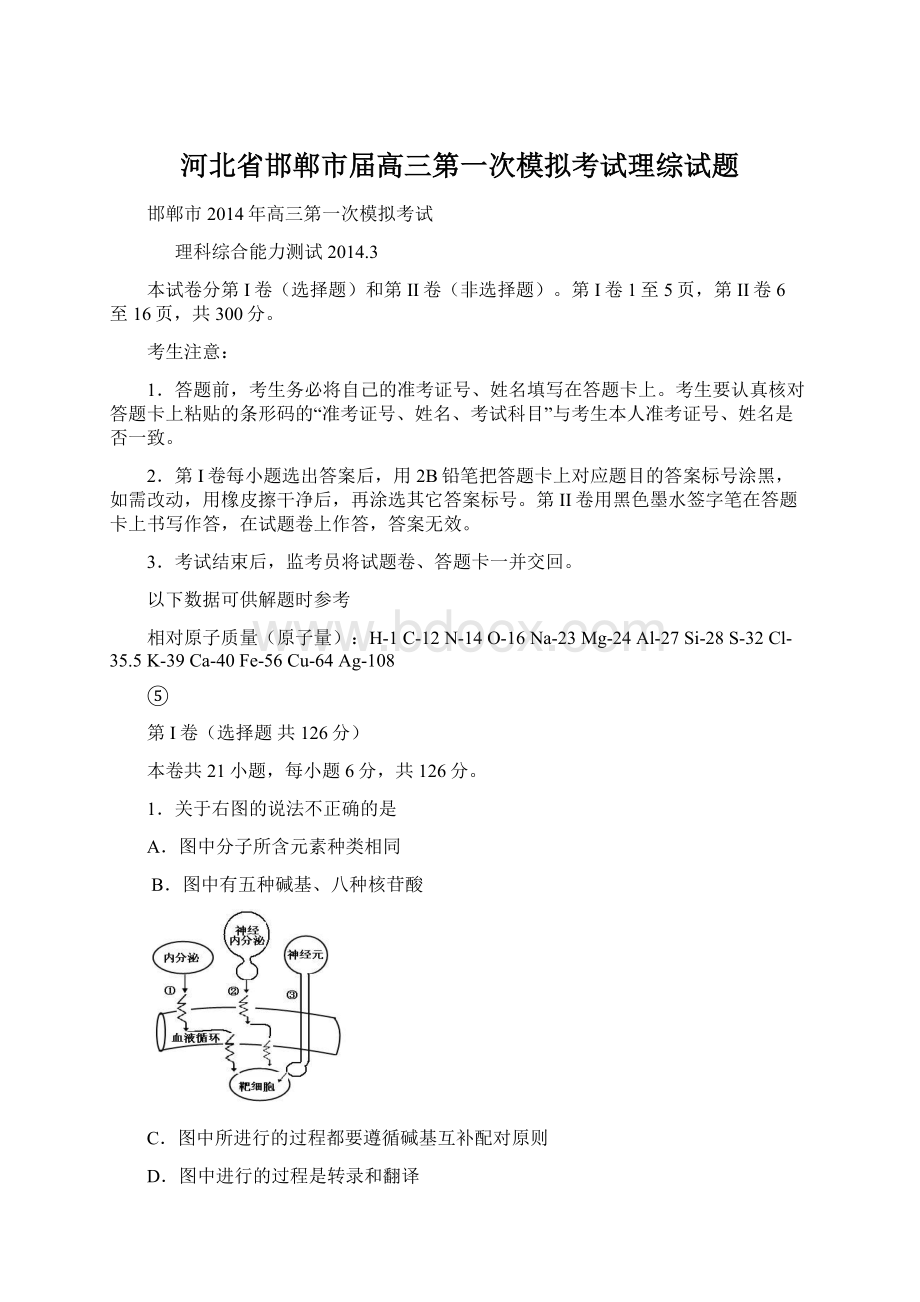 河北省邯郸市届高三第一次模拟考试理综试题Word文档格式.docx