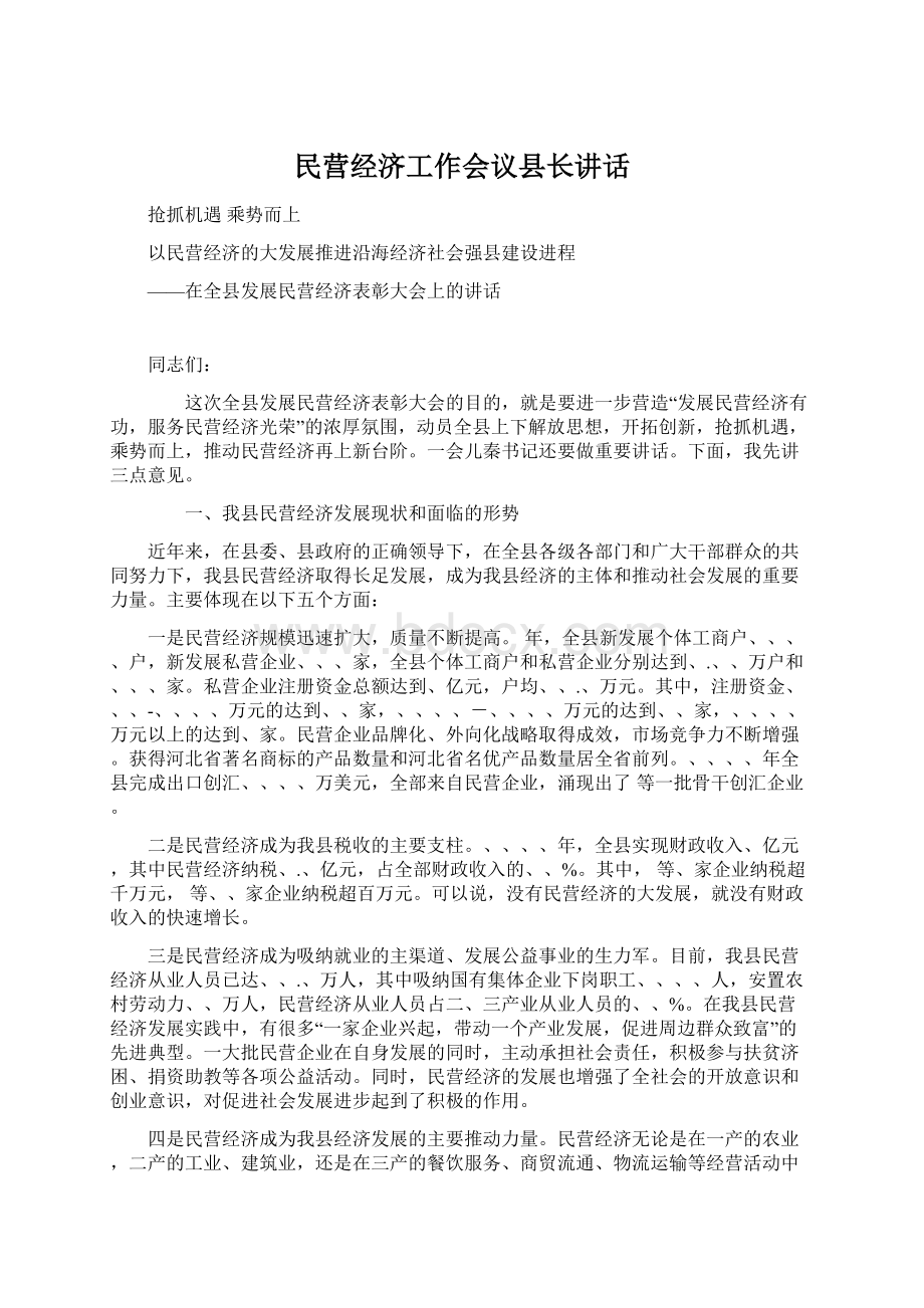 民营经济工作会议县长讲话文档格式.docx_第1页