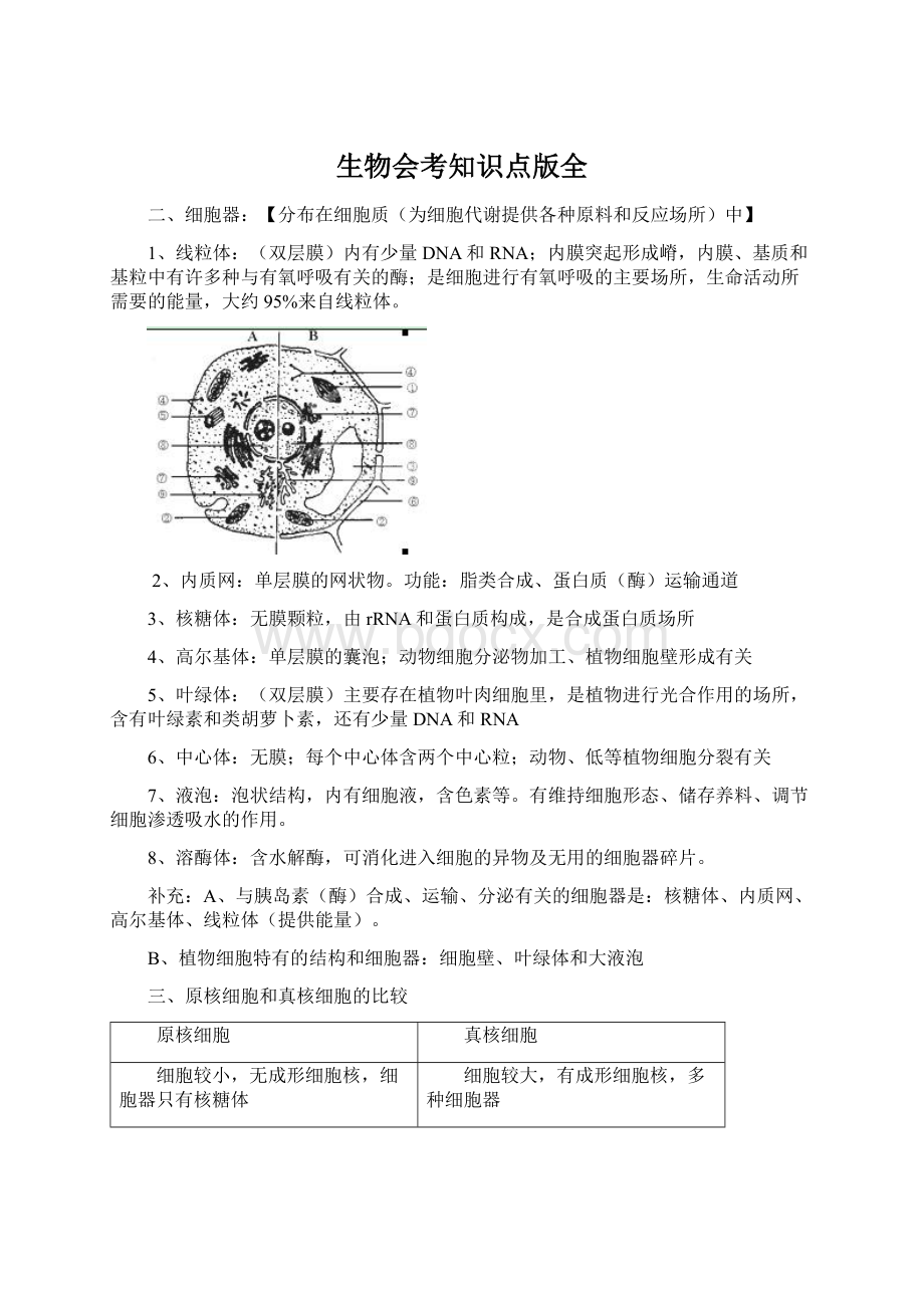 生物会考知识点版全Word文件下载.docx_第1页