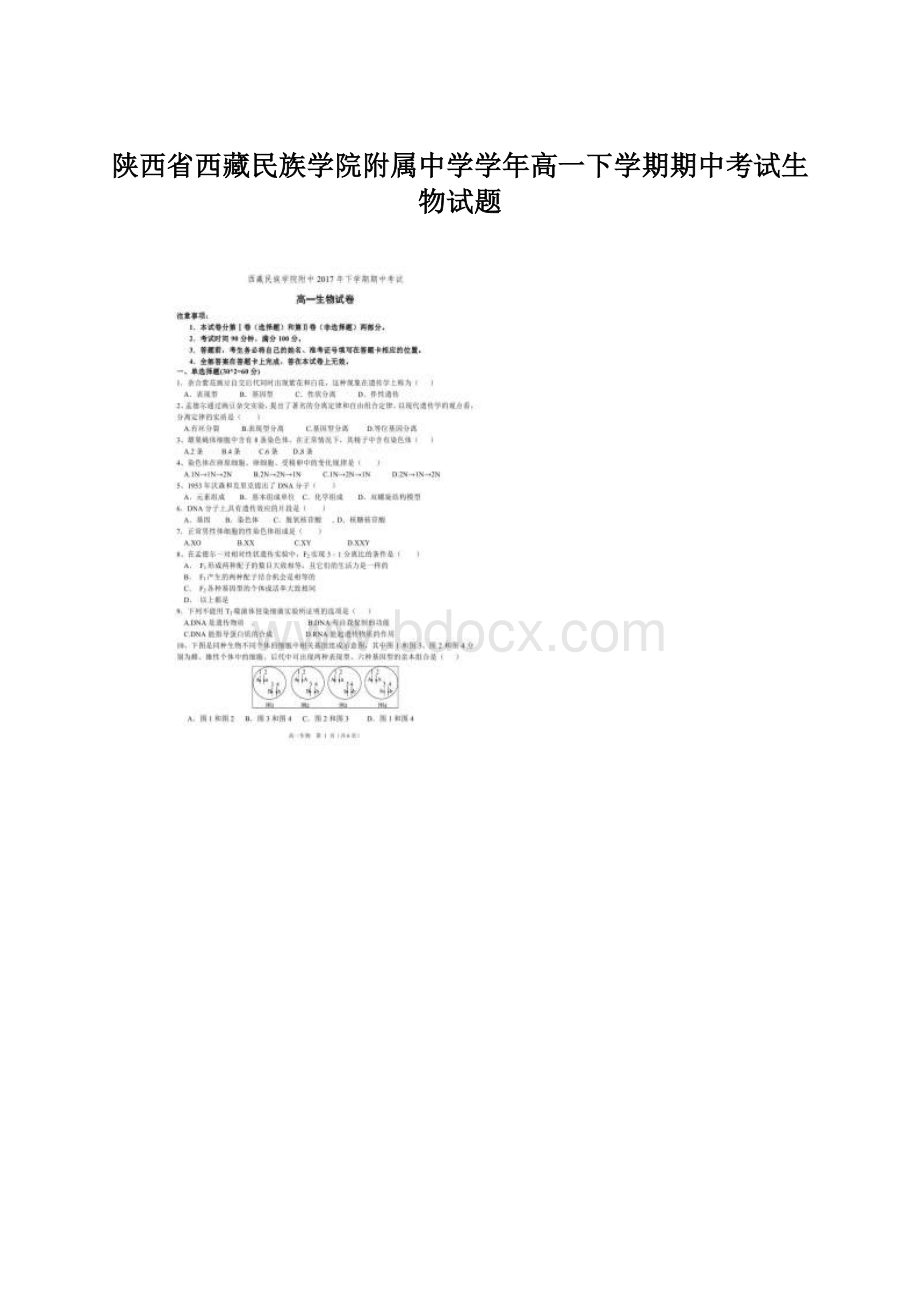 陕西省西藏民族学院附属中学学年高一下学期期中考试生物试题Word文档下载推荐.docx