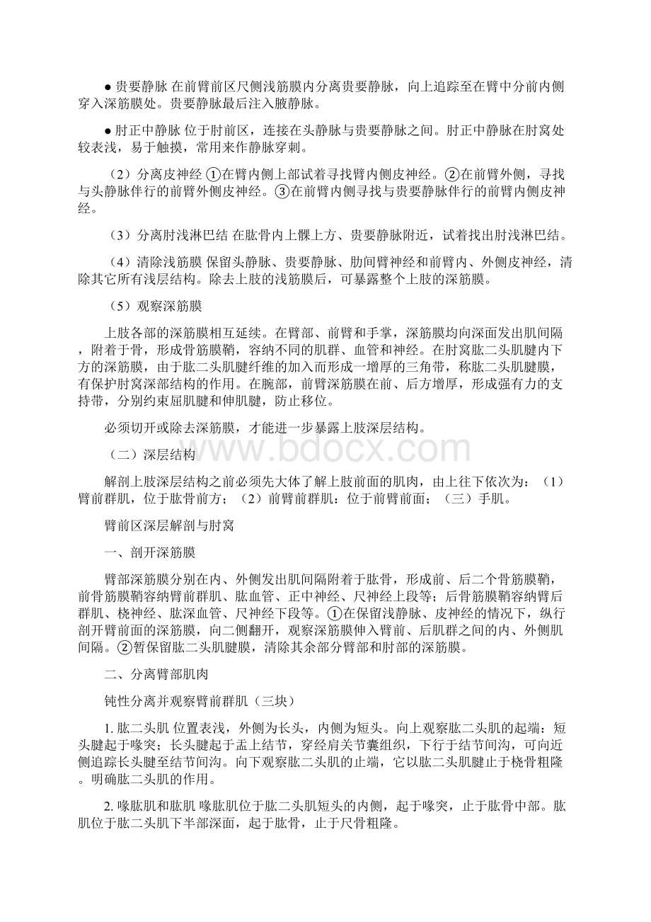 上肢前面的解剖文档格式.docx_第2页