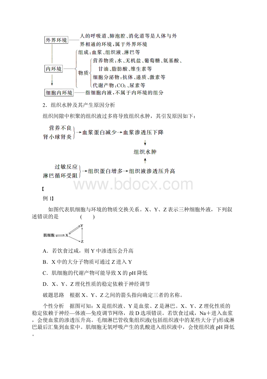 人体的稳态和免疫专项训练文档格式.docx_第3页