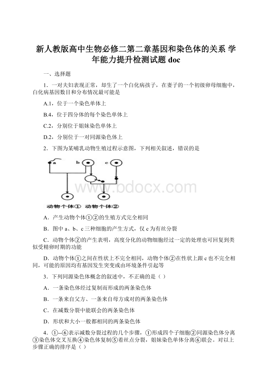 新人教版高中生物必修二第二章基因和染色体的关系 学年能力提升检测试题doc.docx