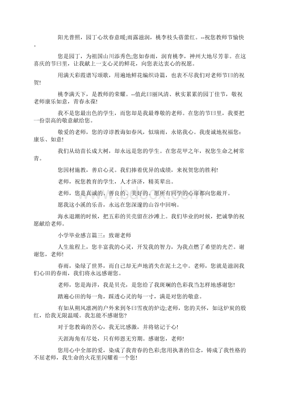 礼仪老师的感言4篇文档格式.docx_第2页