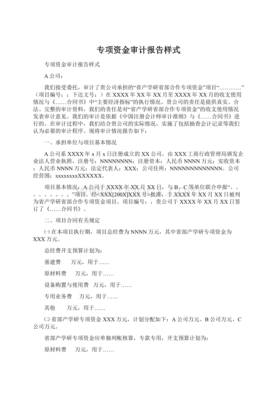 专项资金审计报告样式.docx_第1页