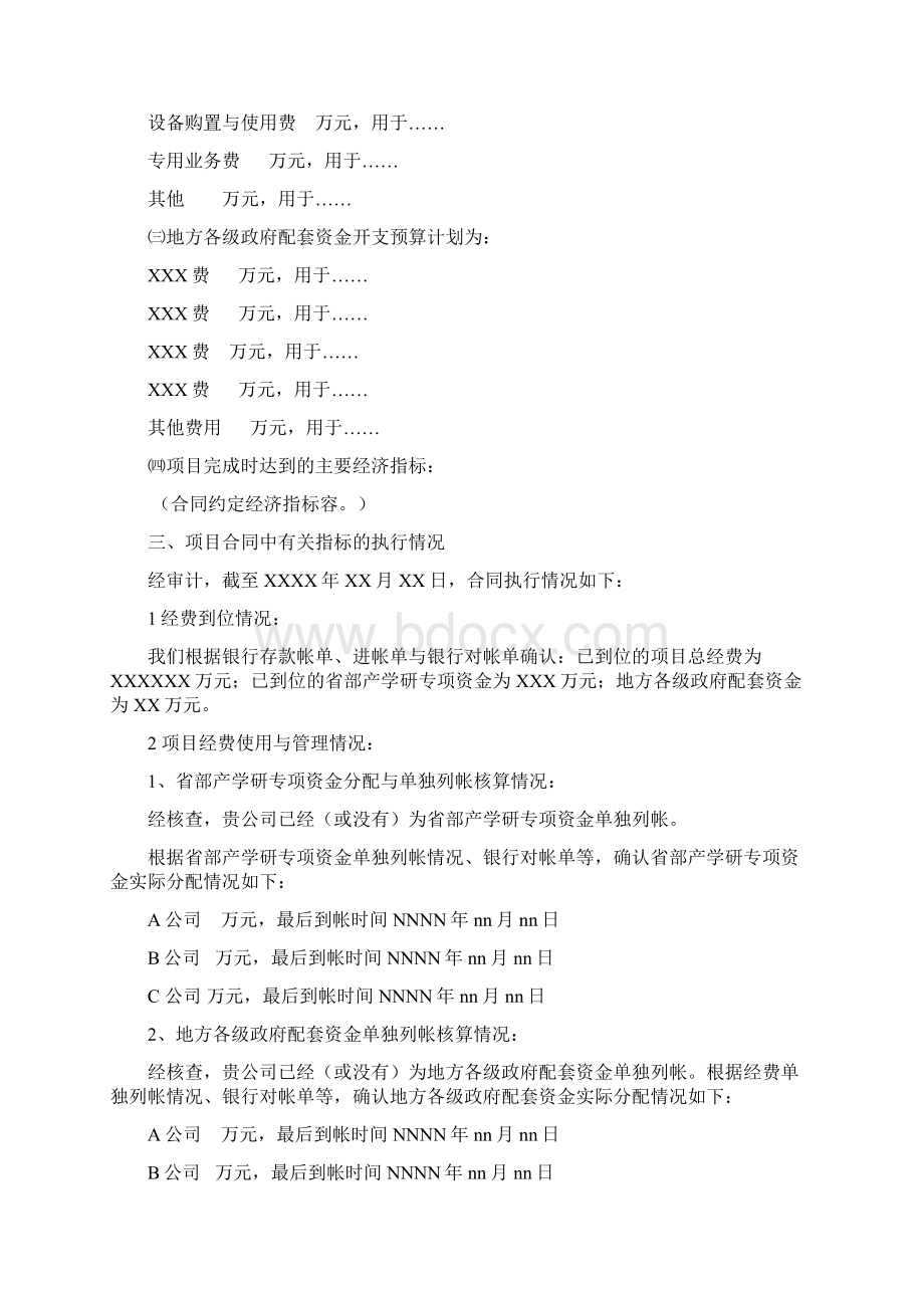 专项资金审计报告样式.docx_第2页