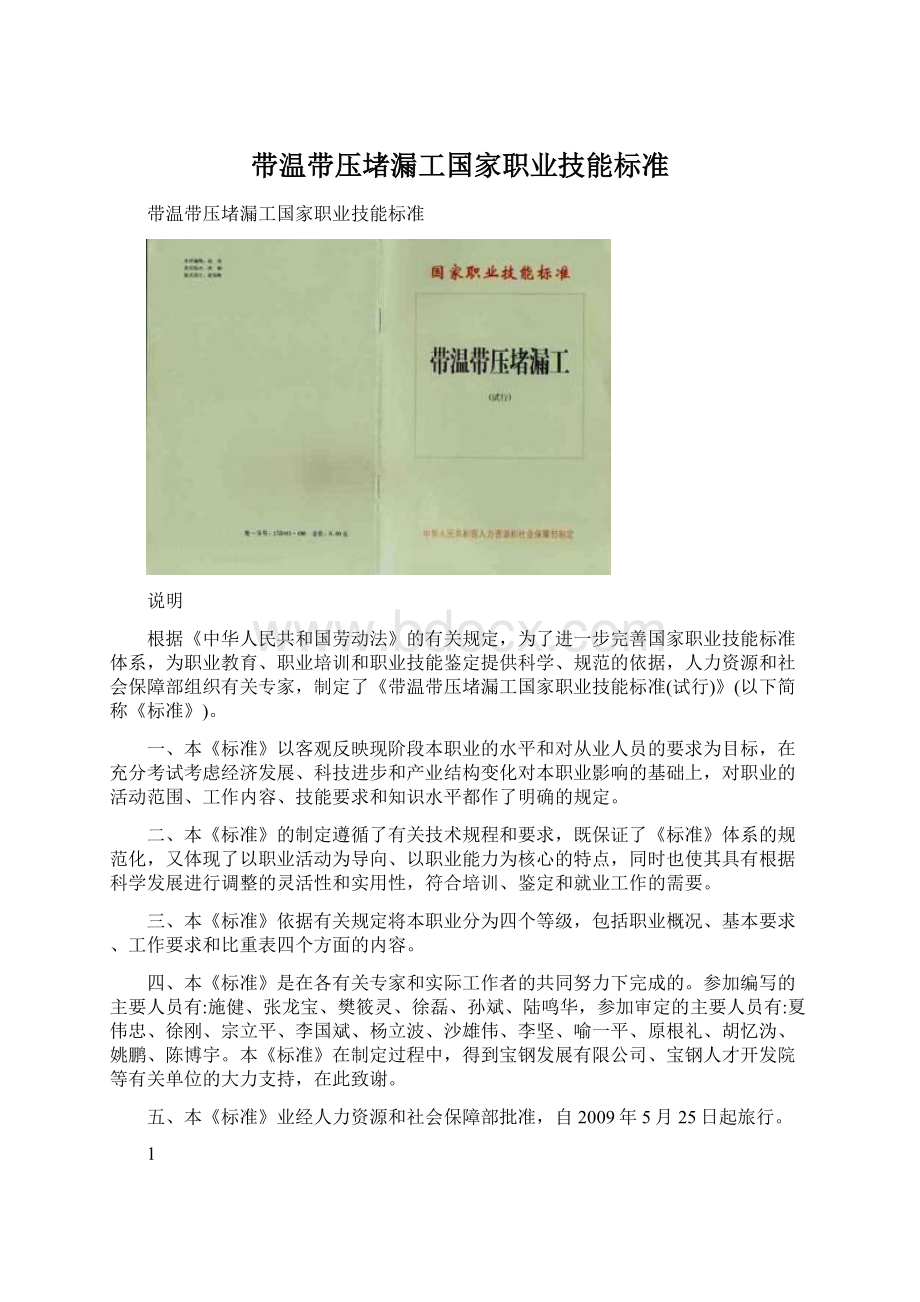 带温带压堵漏工国家职业技能标准Word文件下载.docx_第1页