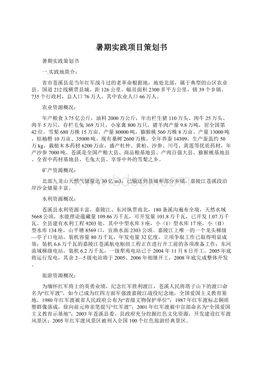 暑期实践项目策划书Word文件下载.docx