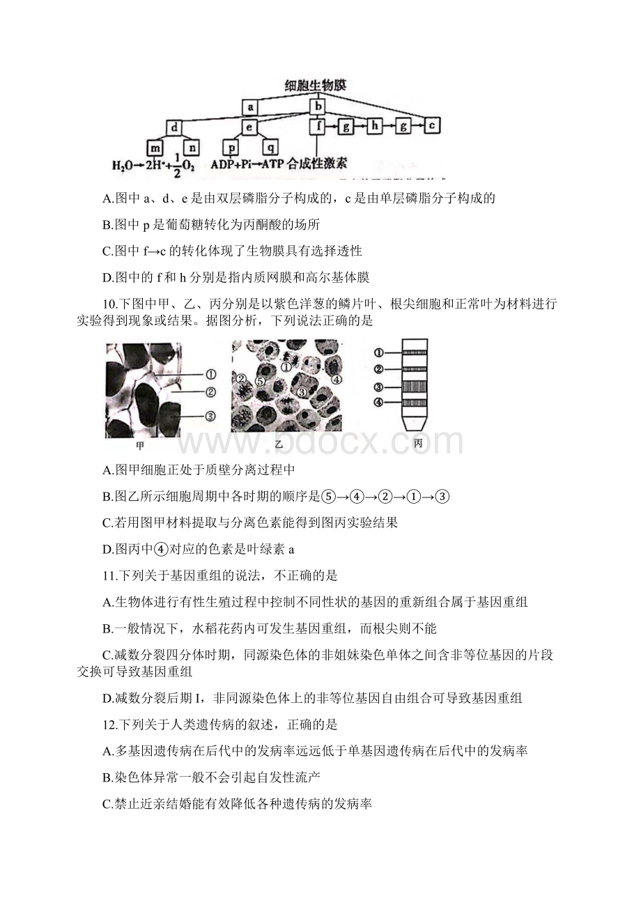 浙江省杭州市七县区学年高二生物上学期期末考试题Word格式文档下载.docx_第3页