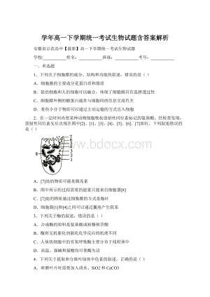 学年高一下学期统一考试生物试题含答案解析.docx