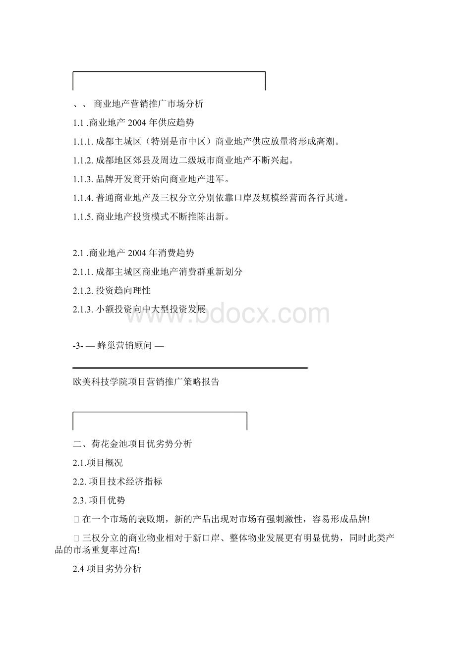 荷花金池营销策略报告Word文档格式.docx_第2页