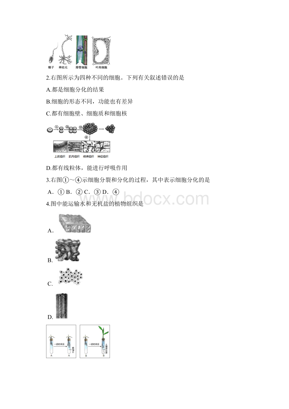 北京市燕山区学年第一学期初三生物期末试题Word版无答案Word文件下载.docx_第2页