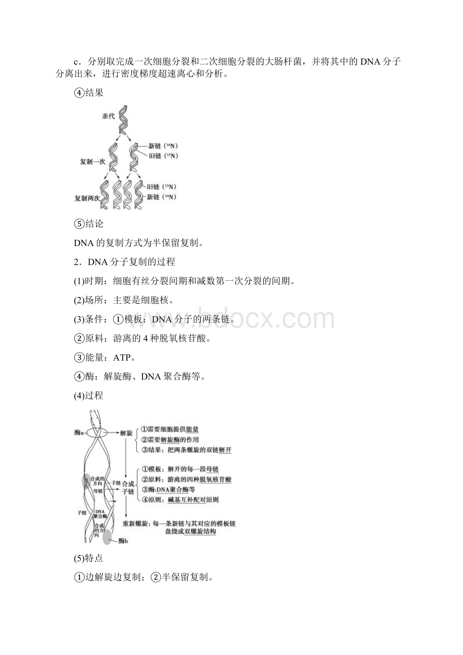 高中生物第4章DNA分子的结构和复制第2课时DNA分子的复制学案苏教版.docx_第2页