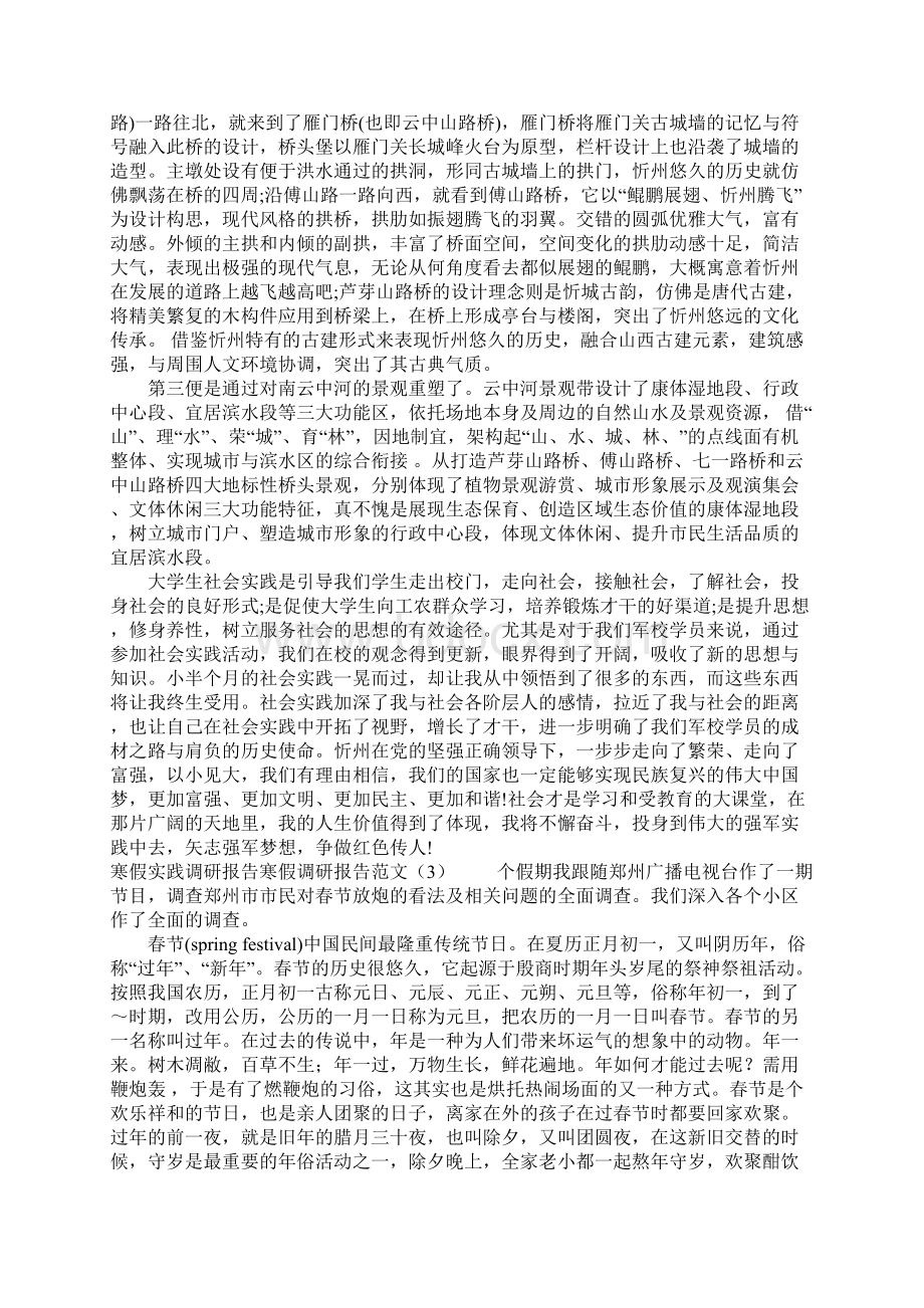 寒假调研报告范文4篇.docx_第3页