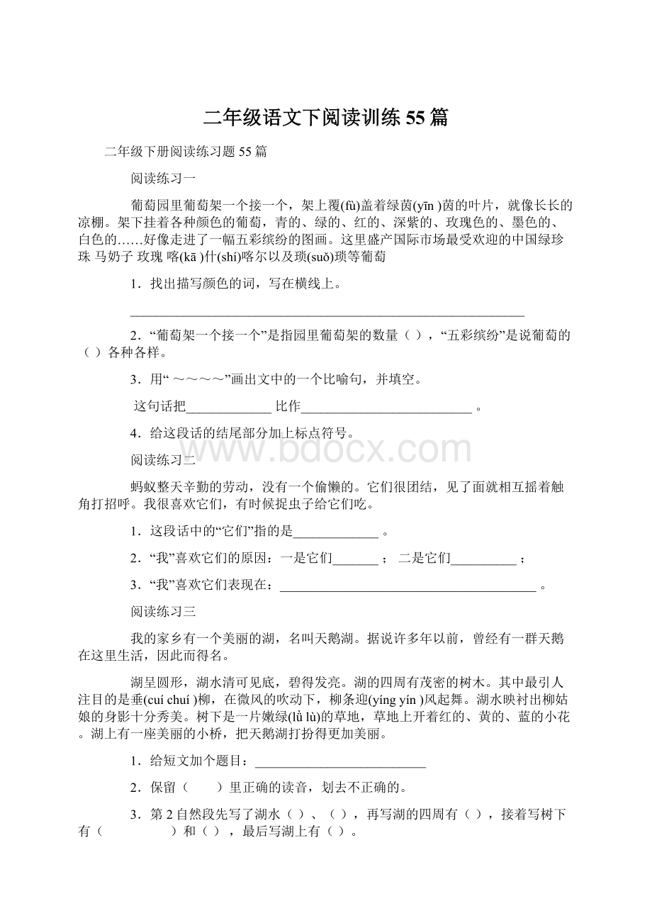 二年级语文下阅读训练55篇Word格式文档下载.docx