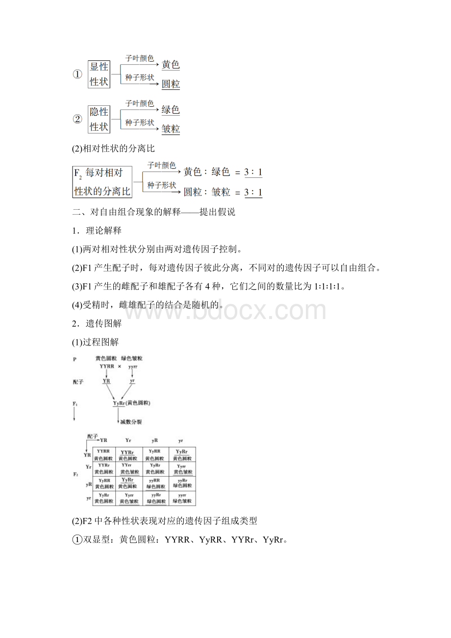 高中生物 第1章 第2节 孟德尔的豌豆杂交实验二教学案 新人教版必修第二册Word格式.docx_第2页