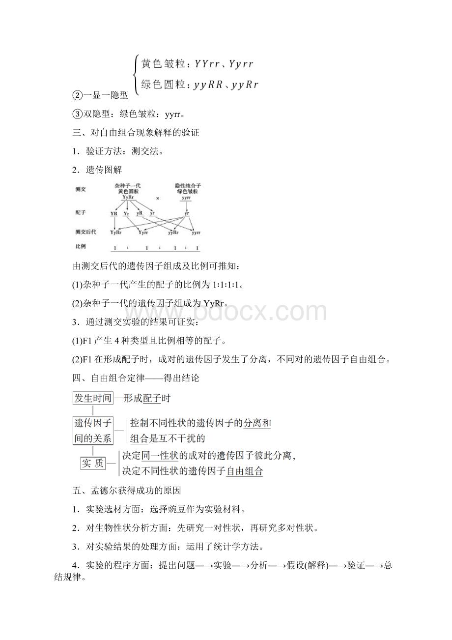 高中生物 第1章 第2节 孟德尔的豌豆杂交实验二教学案 新人教版必修第二册Word格式.docx_第3页