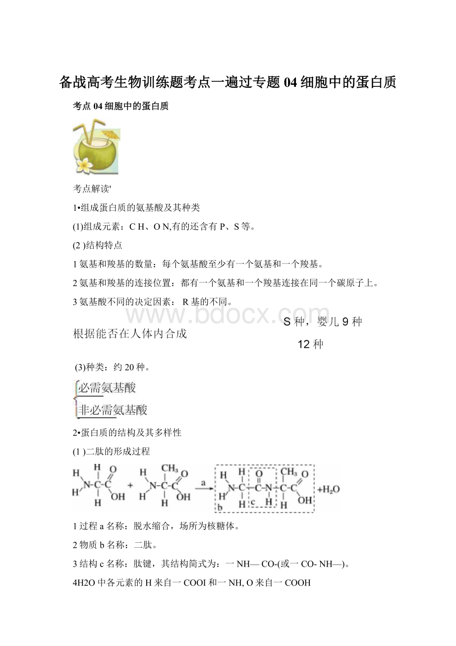 备战高考生物训练题考点一遍过专题04细胞中的蛋白质文档格式.docx